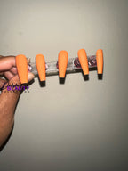 Hey There Pumpkin Set