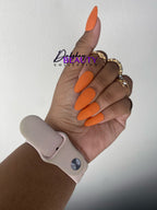 Pumpkin Spice Set