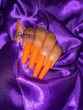 Hey There Pumpkin Set
